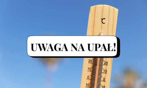 Zdjęcie do Uwaga na upał!