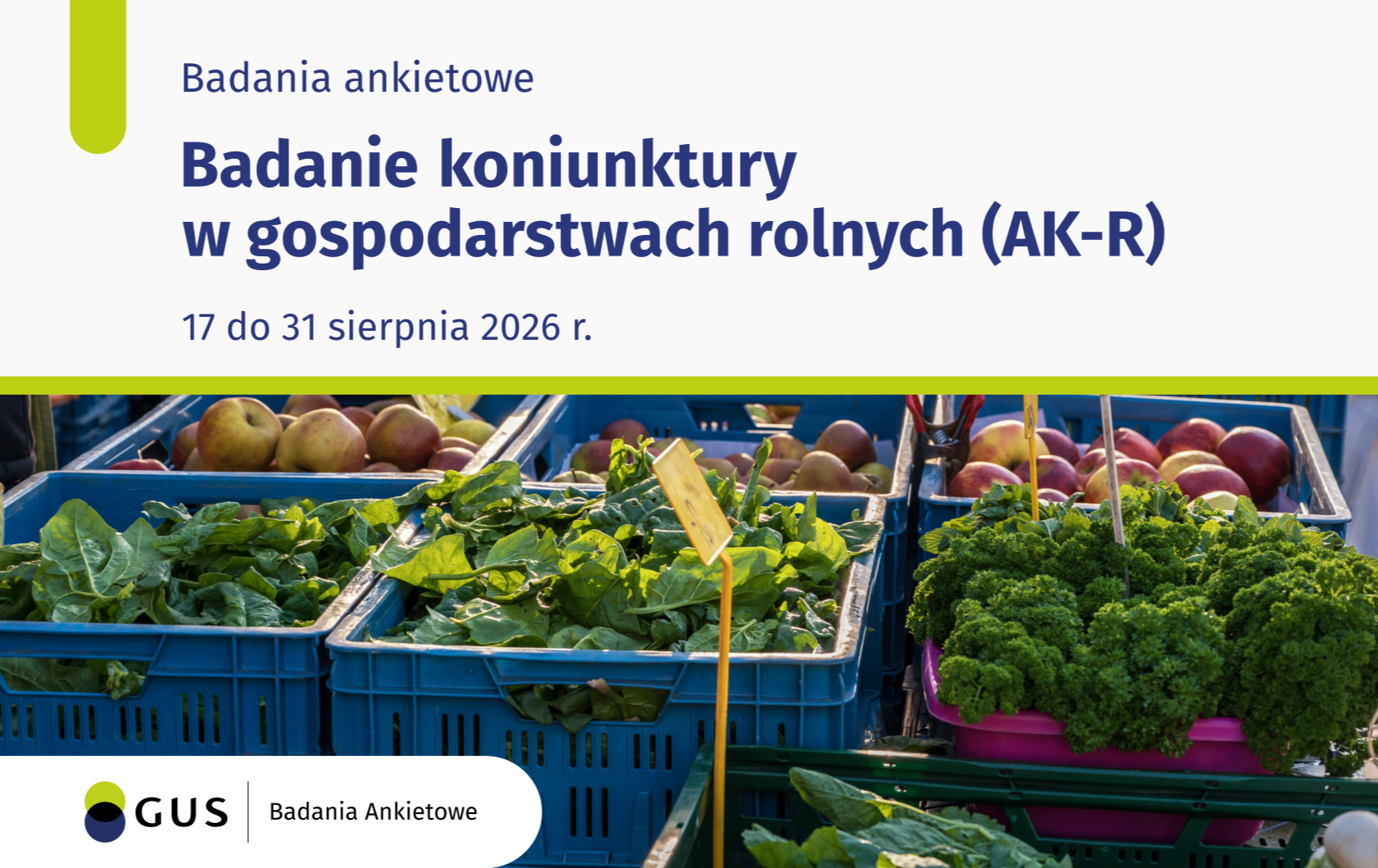 Zdjęcie artykułu z dnia 18-08-2026
